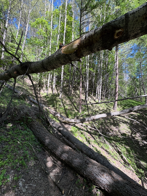 Arrivederci, Bardonecchia
