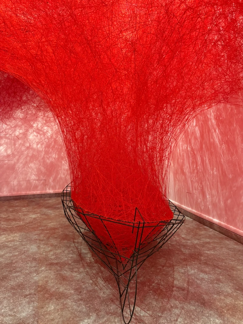 Chiharu Shiota, Uncertain Journey - Museo di Arte Orientale di Torino