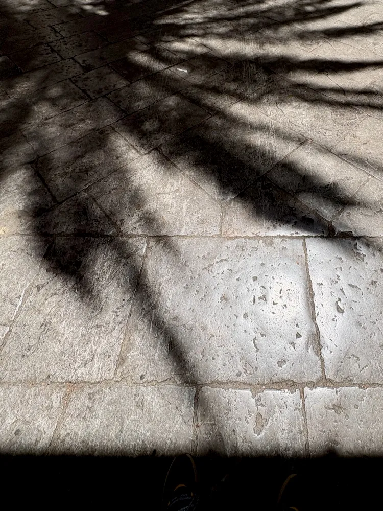 Ombre tra i vicoli di Palermo
