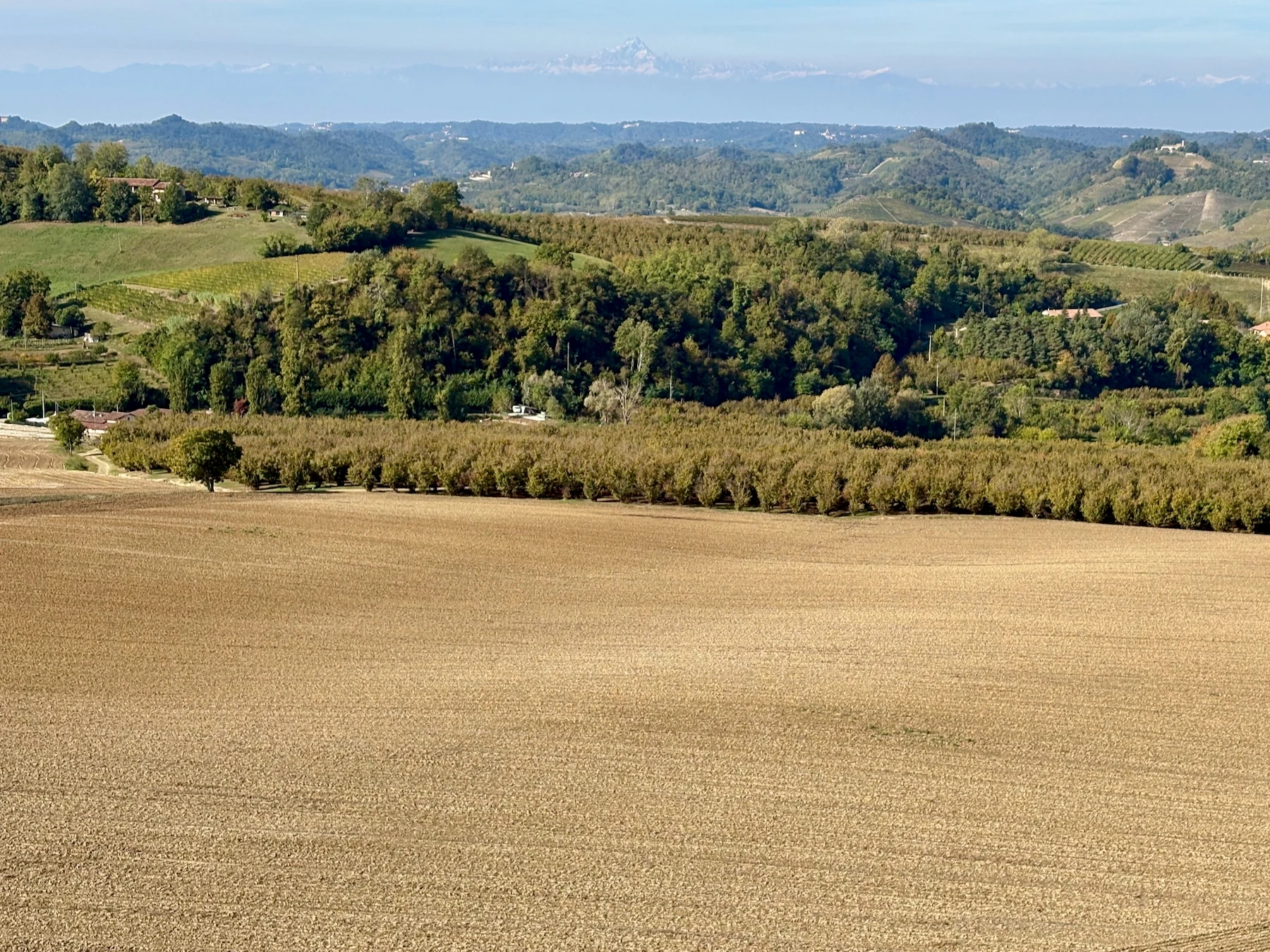 Ploughed field, vineyards and Roero hills, with Monviso in the distance